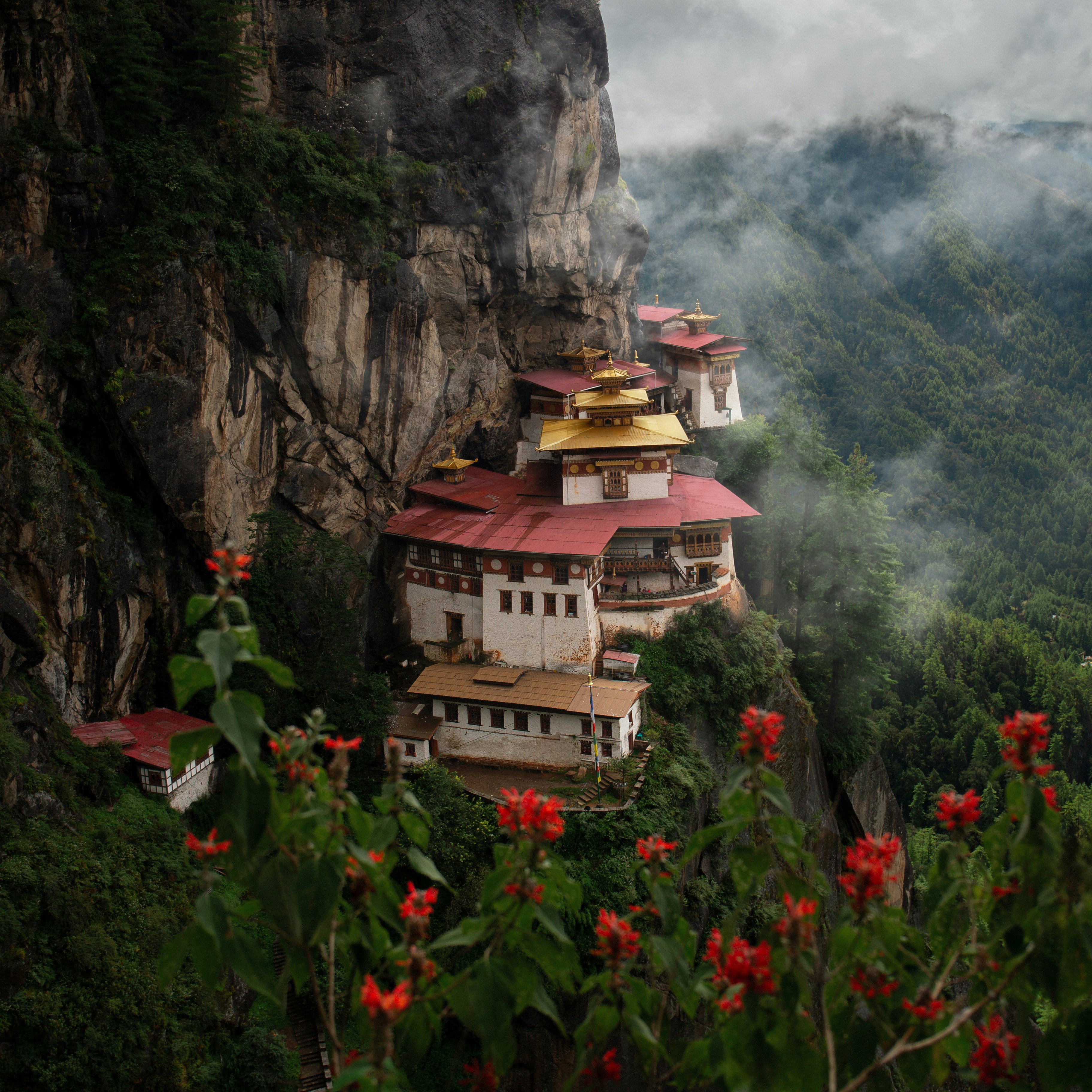 Arunachal